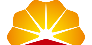 Study, Evaluation and Run Simulation – PETROCHINA (Des 10)