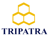 IMR Plan Development for Underwater Facilities – TRIPATRA STAR ENERGY (Jan 09)